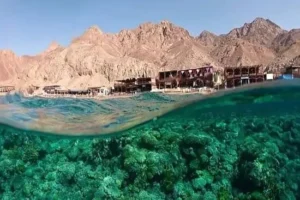 أفضل وجهات السفر في الخريف من السعودية 2026